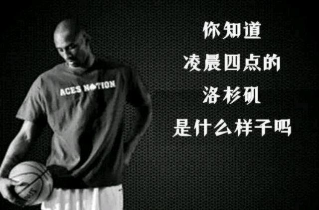 提升了执行